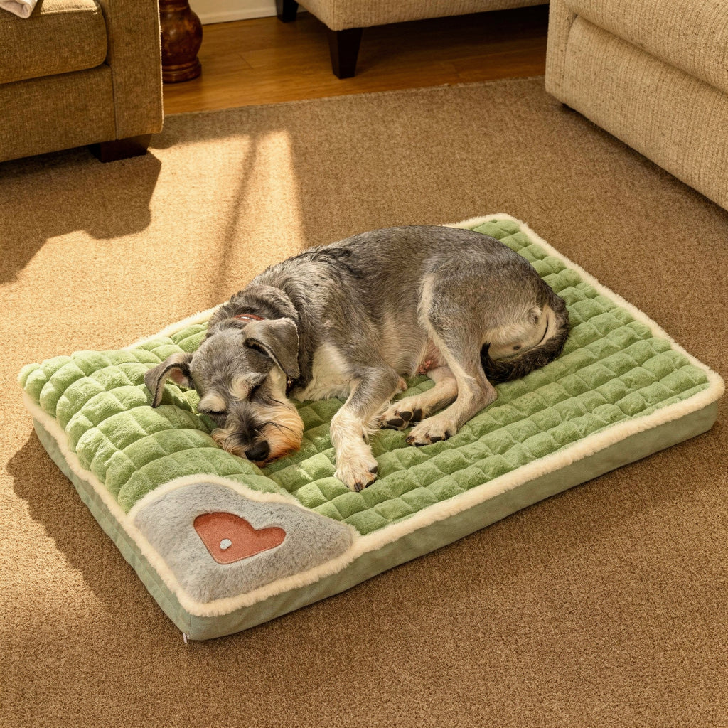 Cama Ortopedica para Mascotas