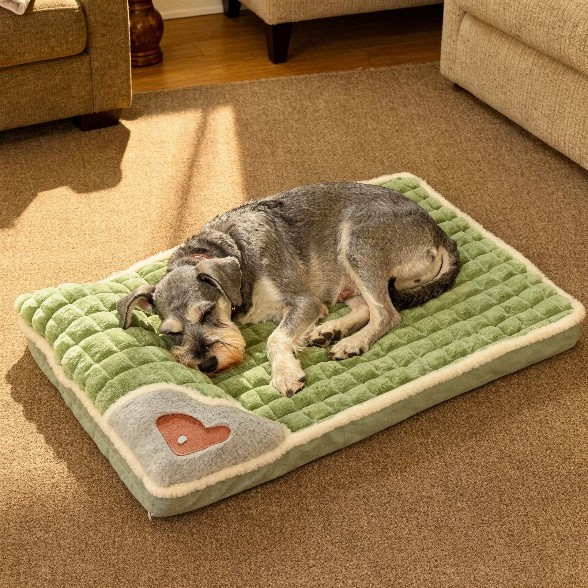 Cama Ortopedica para Mascotas